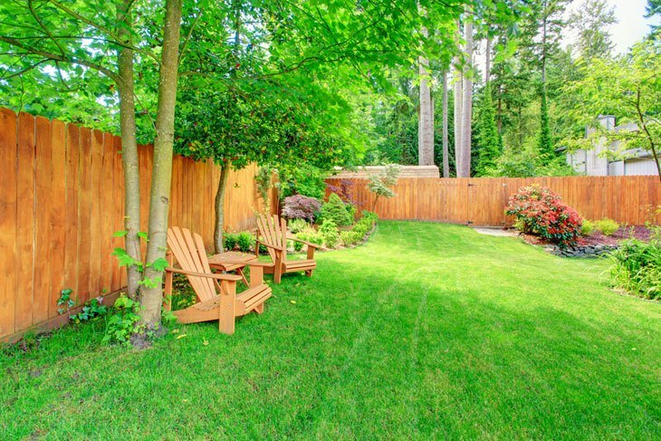 Fenced Backyard Outdoors With Green Lawn