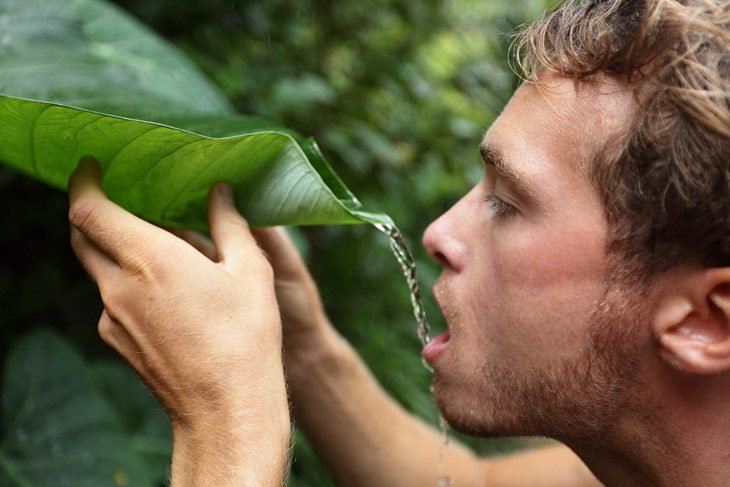 Survivalist Drinking Rain Water From Leaf In Rainforest Jungle